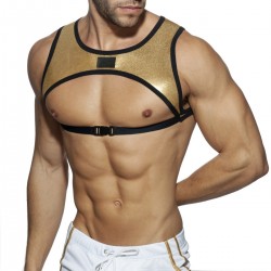 Addicted - PARTY STRIPE HARNESS Gold