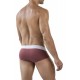 Clever - Lecler Briefs Color Grape + Green