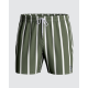 Impetus - Swim Shorts Nice Green