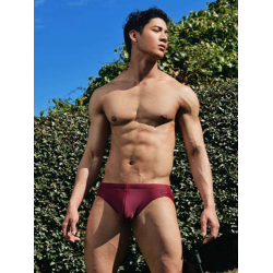 2Eros - Core Swim Brief V&10 Tawny Port