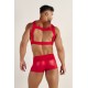 WOH - Harness - Night Universe Red