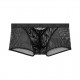 WOH - Personal Allure Trunk Black
