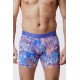 Loïc Henry - Bxr Tencel/Coton Tigre